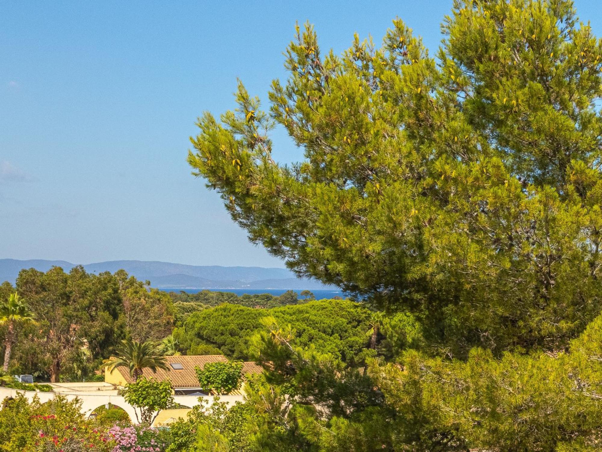 Le Dauphin-2 By Interhome Hyeres